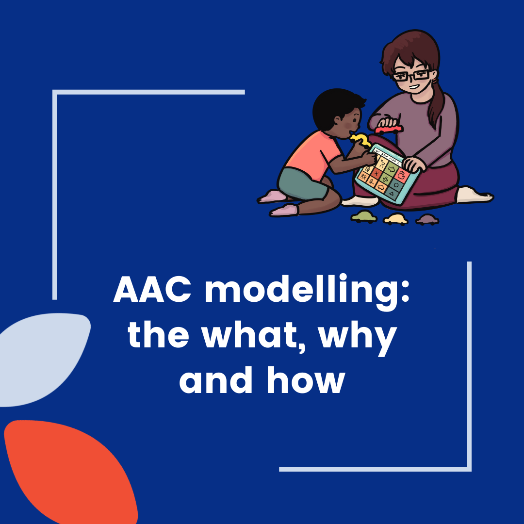 Workshop_AAC modelling the what why and how