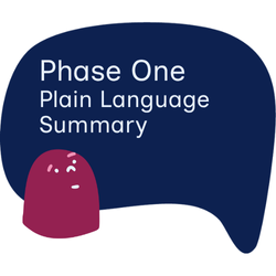 Mentoring Project Phase One Plain Language Summary