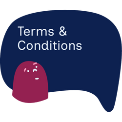 Mentoring Project phase two terms and conditions