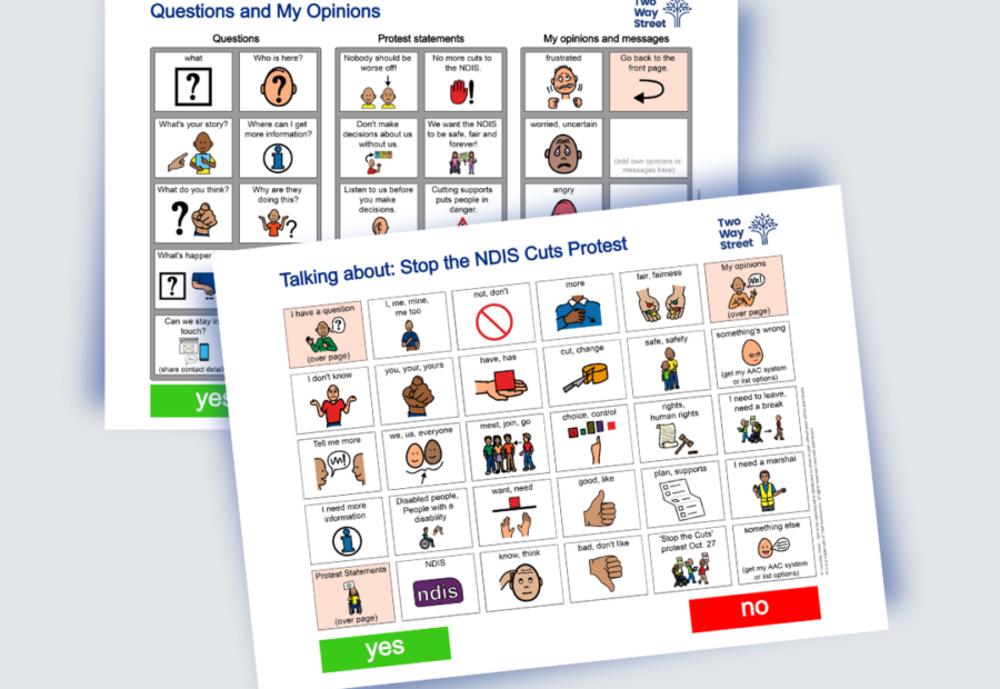 Stop the NDIS Cuts Protest Aided Language Display (ALD) and instructions