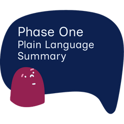 Mentoring Project Phase One Plain Language Summary